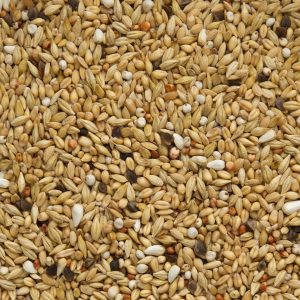 Beyers Original Super Zuivering 20kg - Afbeelding 1