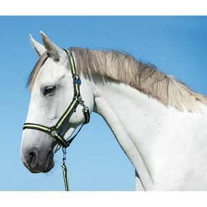 Halster antraciet/lemon Full - Afbeelding 1
