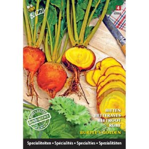 Buzzy Specialties Bieten Burpee's Golden 80034 - Afbeelding 1