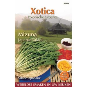 Xotica Mizuna 80434 - Afbeelding 1