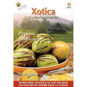 Buzzy Xotica Pepino, Meloenpeer 80466 - Afbeelding 1