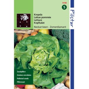 Pilstar Themaserie Kropsla Neckarr.Sel.Zomerdiamant 9190 - Afbeelding 1