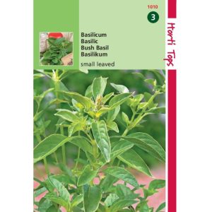 Horti Tops Basilicum fijnbladig 11010 - Afbeelding 1