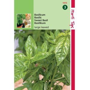 Horti Tops Basilicum Grove 11015 - Afbeelding 1