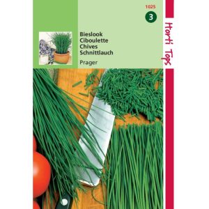 Horti Tops Bieslook Fijne 11025 - Afbeelding 1