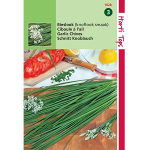 Horti Tops Chinese Knoflookbieslook 11028 - Afbeelding 1
