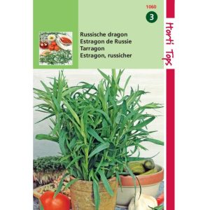 Horti Tops Russische Dragon 11060 - Afbeelding 1