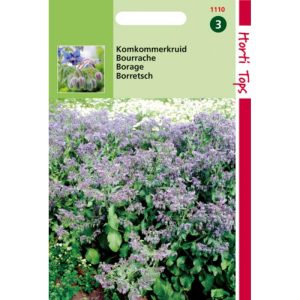 Horti Tops Komkommerkruid (Borage) 11110 - Afbeelding 1
