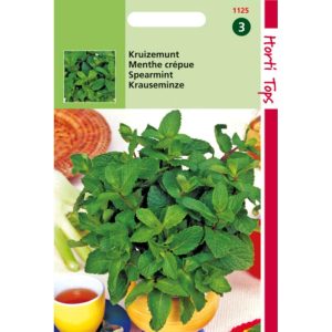 Horti Tops Kruizemunt 11125 - Afbeelding 1
