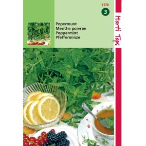 Horti Tops Pepermunt 11170 - Afbeelding 1