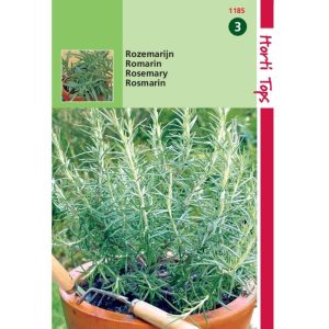 Horti Tops Rozemarijn 11185 - Afbeelding 1
