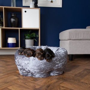 Scruffs Huisdierenmand Fluweel 45cm Paars - Afbeelding 2