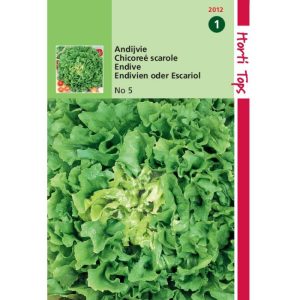Horti Tops Andijvie Nummer Vijf 2 12012 - Afbeelding 1
