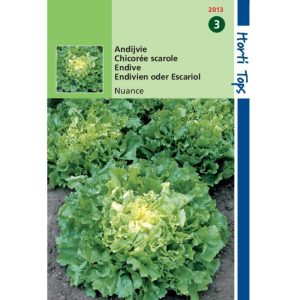 Horti Tops Andijvie Nuance 12013 - Afbeelding 1