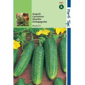 Horti Tops Augurken Profi F1 12081 - Afbeelding 1