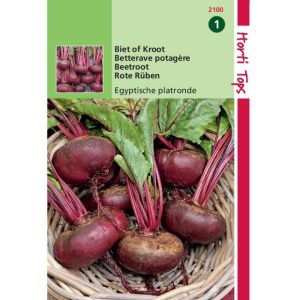 Horti Tops Bieten Egyptische Platronde 12100 - Afbeelding 1