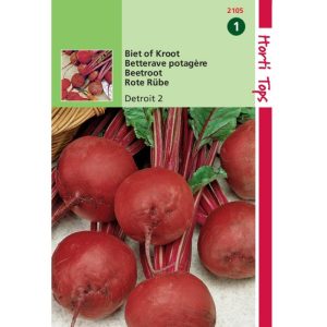 Horti Tops Bieten Kogel 2 12105 - Afbeelding 1