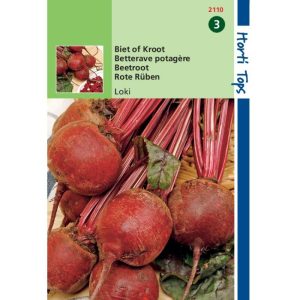 Horti Tops Bieten Kogel 5, Loki 12110 - Afbeelding 1