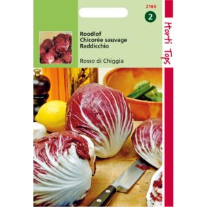 Horti Tops Radicchio Rossa Di Chioggia (Palla Rossa) 12163 - Afbeelding 1