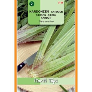 Horti Tops Kardonzen Blanc am?lior? 12168 - Afbeelding 1