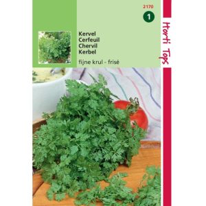 Horti Tops Kervel Fijne Krul 12170 - Afbeelding 1