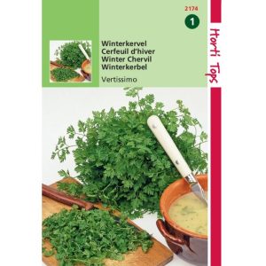 Horti Tops Kervel Vertissimo, Brusselse Winter 12174 - Afbeelding 1