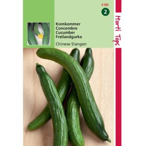 Horti Tops Komkommers Chinese Slangen 12182 - Afbeelding 1