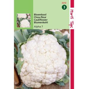 Horti Tops Bloemkool Alpha 7 12212 - Afbeelding 1