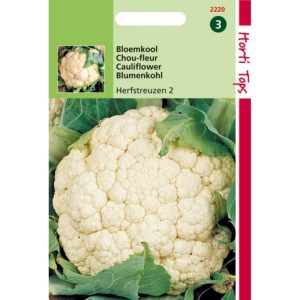 Horti Tops Bloemkool Herfstreuzen 2 12220 - Afbeelding 1