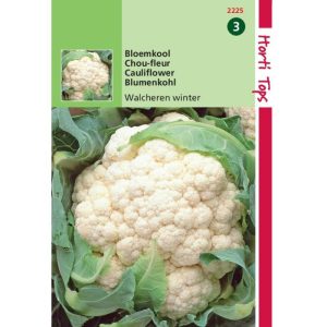 Horti Tops Bloemkool Walcheren Winter 5 12225 - Afbeelding 1