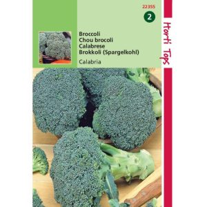 Horti Tops Broccoli Calabrese natalino 122355 - Afbeelding 1