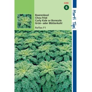 Horti Tops Boerenkool Winterbor F1 12244 - Afbeelding 1