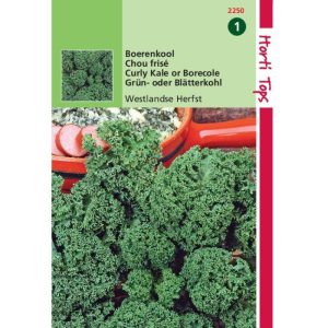 Horti Tops Boerenkool Westlandse Herfst, laat type 12250 - Afbeelding 1