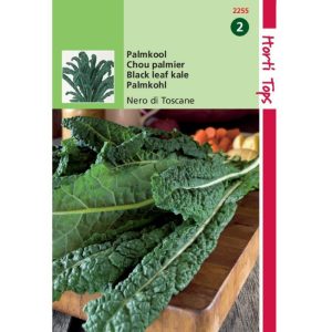 Horti Tops Palmkool Nero di Toscane 12255 - Afbeelding 1