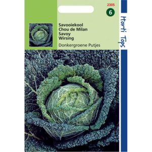 Horti Tops Savooiekool Donkergroene Putjes 12305 - Afbeelding 1