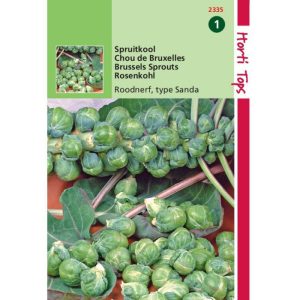 Horti Tops Spruitkool Roodnerf 12335 - Afbeelding 1