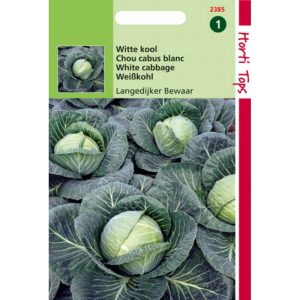 Horti Tops Wittekool Langedijker Bewaar 12385 - Afbeelding 1