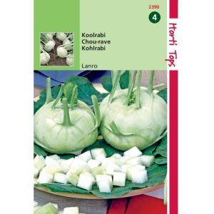 Horti Tops Koolrabi Lanro 12390 - Afbeelding 1