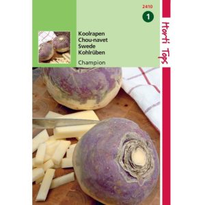 Horti Tops Koolraap Champion (Engelse Gele Roodkop) 12410 - Afbeelding 1