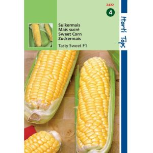Horti Tops Suikermais Tasty Sweet F1 12422 - Afbeelding 1