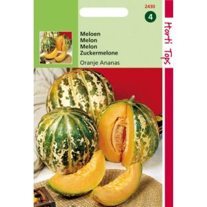 Horti Tops Meloenen Oranje Ananas 12430 - Afbeelding 1