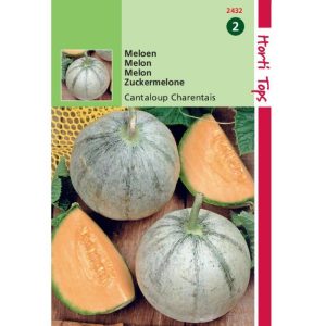 Horti Tops Meloenen Charentais 12432 - Afbeelding 1