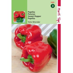Horti Tops Paprika Yolo Wonder 12435 - Afbeelding 1
