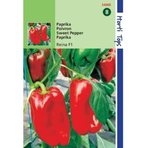 Horti Tops Paprika Solero F1 (vh Reina) 124365 - Afbeelding 1