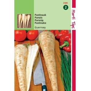 Horti Tops Pastinaak Guernsey (Pinksternakel) 12445 - Afbeelding 1