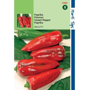 Horti Tops Paprika Atris Hybride F1 (Rode Koehoorn) 124465 - Afbeelding 1