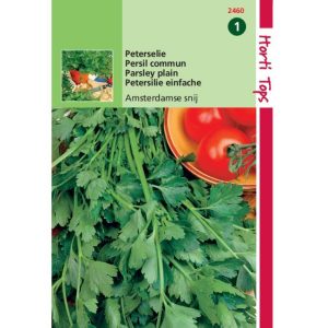 Horti Tops Peterselie Amsterdamse snij 12460 - Afbeelding 1