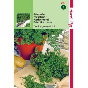 Horti Tops Peterselie Gekrulde Donkergroene 12465 - Afbeelding 1