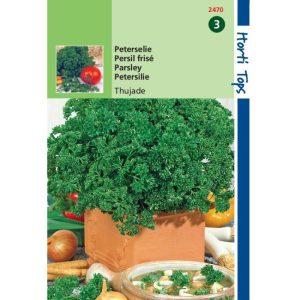 Horti Tops Peterselie Thujade Orig. Donkergroene 12470 - Afbeelding 1