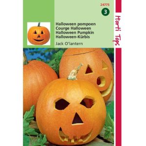 Horti Tops Pompoen Halloween Jack O'Lantern 124775 - Afbeelding 1
